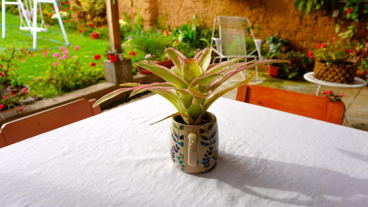 Casa Kuelap Hostal チャチャポヤス エクステリア 写真