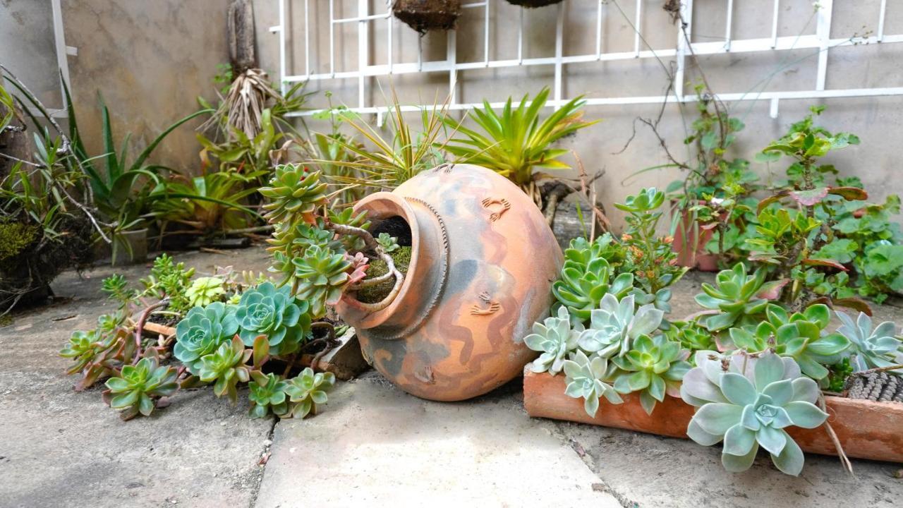 Casa Kuelap Hostal チャチャポヤス エクステリア 写真